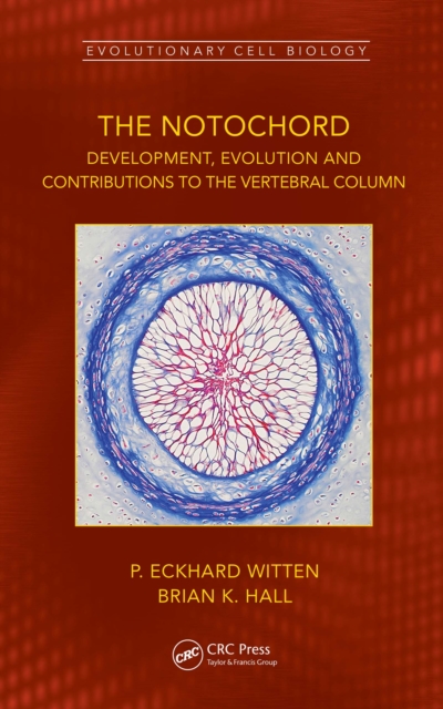 The Notochord : Development, Evolution and contributions to the vertebral column, EPUB eBook