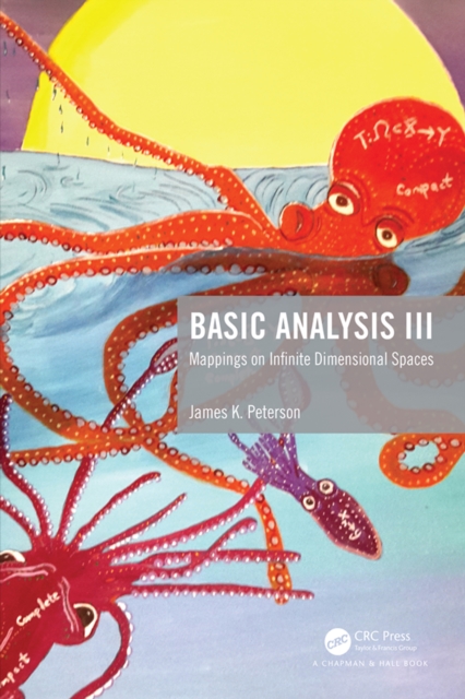 Basic Analysis III : Mappings on Infinite Dimensional Spaces, PDF eBook