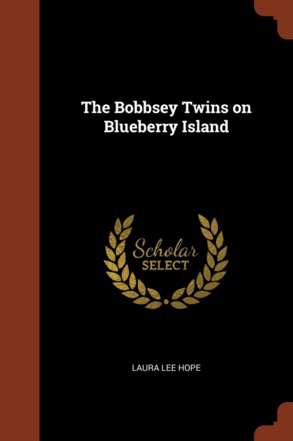 The Bobbsey Twins on Blueberry Island, Paperback / softback Book