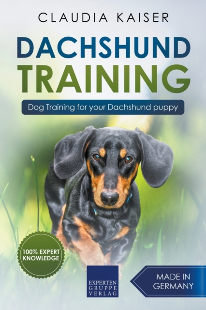 Dachshund Training : Dog Training for Your Dachshund Puppy, Paperback / softback Book