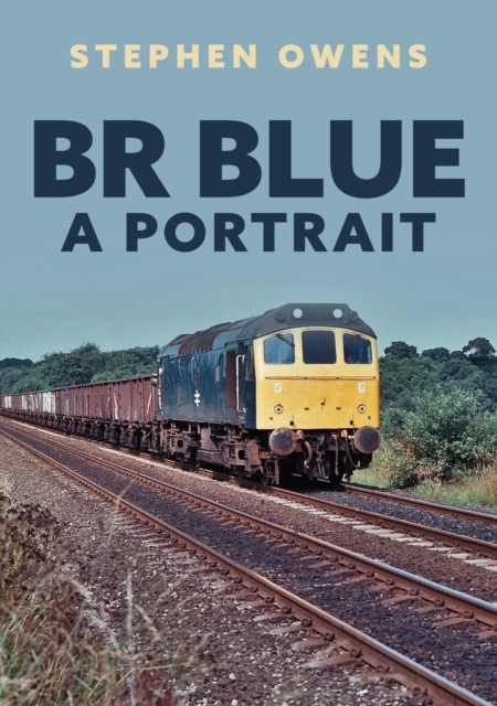 BR Blue: A Portrait, Paperback / softback Book