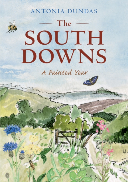 The South Downs : A Painted Year, Paperback / softback Book