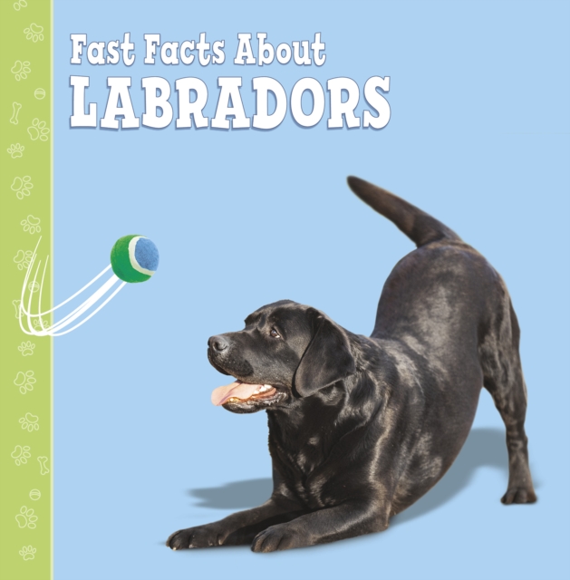 Fast Facts About Labradors, Paperback / softback Book