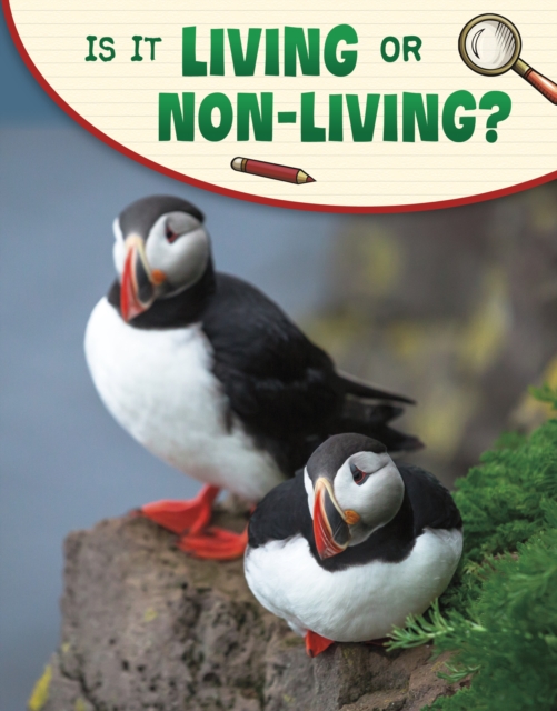 Is It Living or Non-living?, Paperback / softback Book
