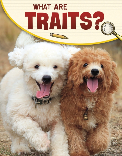 What Are Traits?, Paperback / softback Book