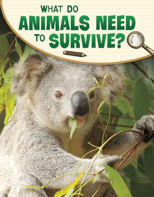 What Do Animals Need to Survive?, Paperback / softback Book