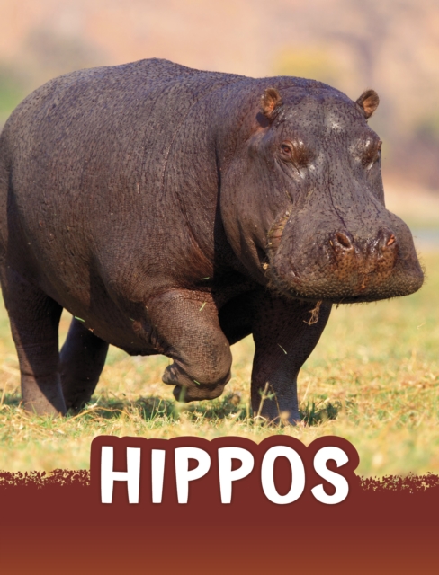 Hippos, Paperback / softback Book