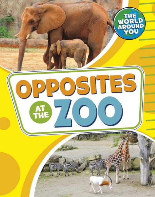 Opposites at the Zoo, Paperback / softback Book