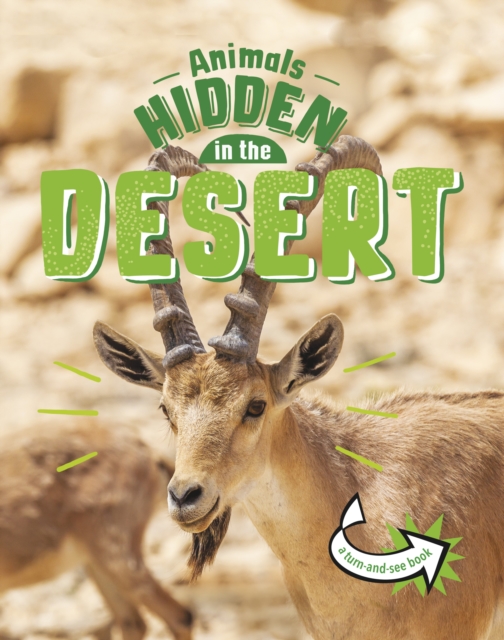 Animals Hidden in the Desert, Paperback / softback Book