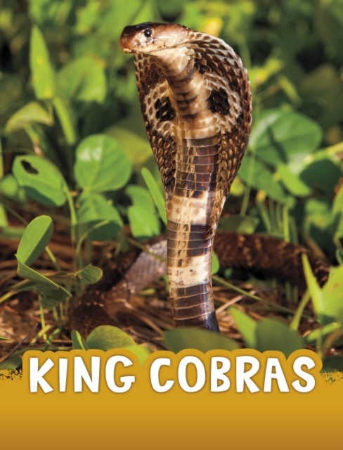 King Cobras, Paperback / softback Book