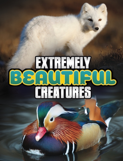 Extremely Beautiful Creatures, Paperback / softback Book