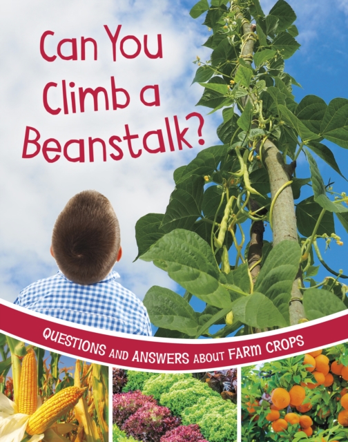 Can You Climb a Beanstalk? : Questions and Answers About Farm Crops, Paperback / softback Book