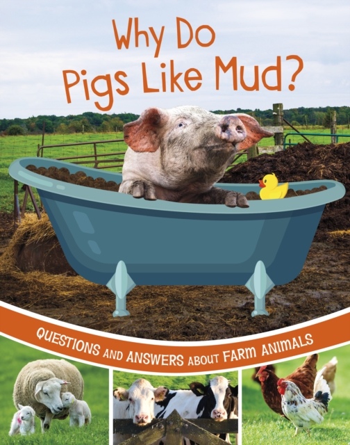 Why Do Pigs Like Mud? : Questions and Answers About Farm Animals, Paperback / softback Book