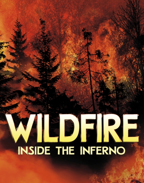 Wildfire, Inside the Inferno, Paperback / softback Book