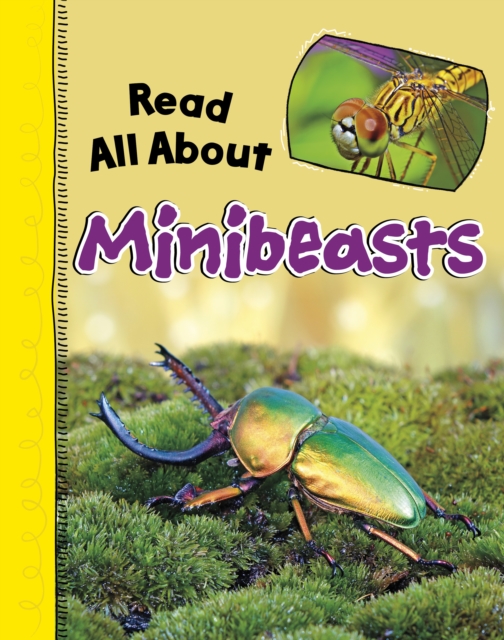 Read All About Minibeasts, Paperback / softback Book