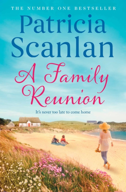 A Family Reunion : Warmth, wisdom and love on every page - if you treasured Maeve Binchy, read Patricia Scanlan, EPUB eBook