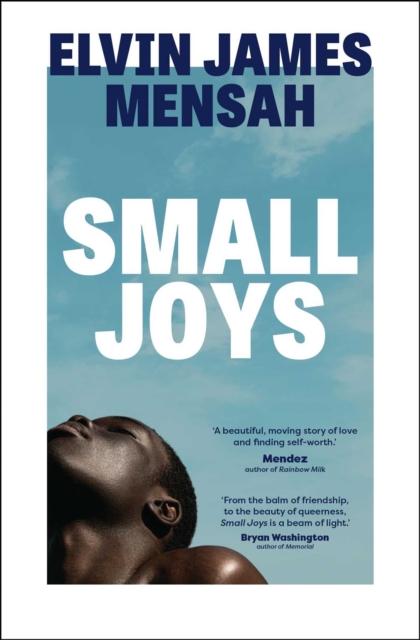 Small Joys : A Buzzfeed 'Amazing New Book You Need to Read ASAP', EPUB eBook