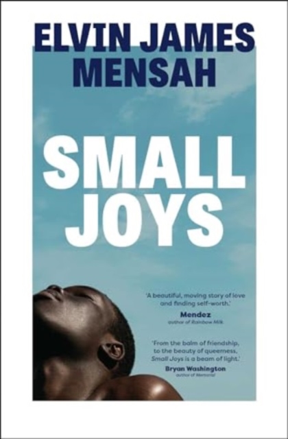 Small Joys : A Buzzfeed 'Amazing New Book You Need to Read ASAP', Paperback / softback Book