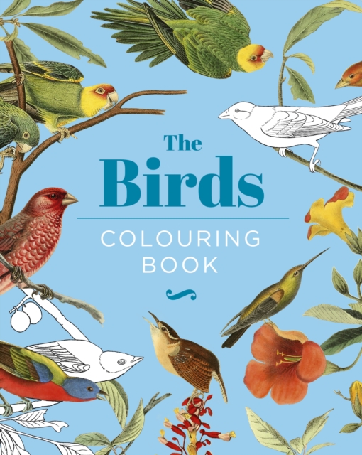 The Birds Colouring Book : Hardback Gift Edition, Hardback Book