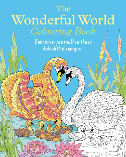 The Wonderful World Colouring Book : Immerse yourself in these delightful images, Paperback / softback Book