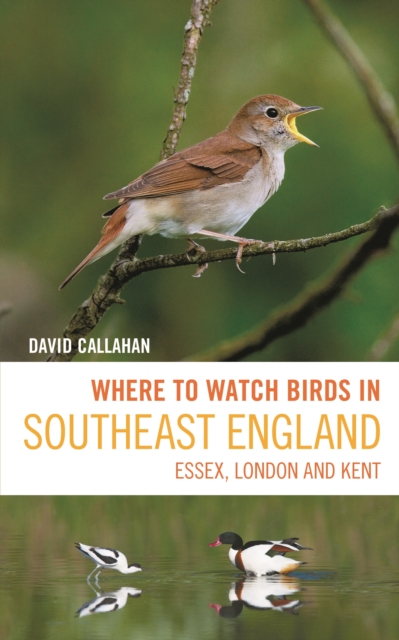 Where to Watch Birds in Southeast England : Essex, London and Kent, Paperback / softback Book