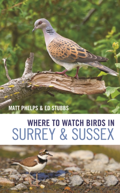 Where to Watch Birds in Surrey and Sussex, Paperback / softback Book