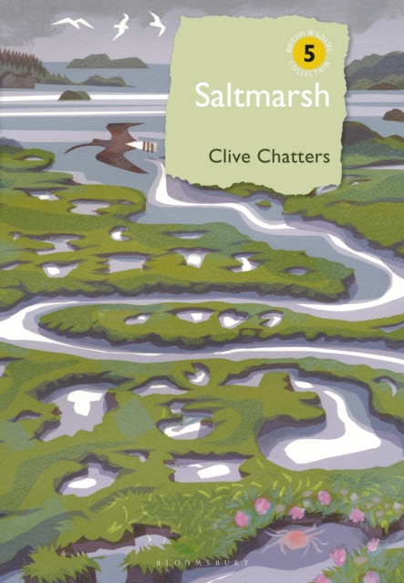 Saltmarsh, Hardback Book