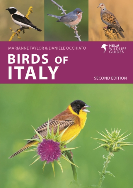 Birds of Italy, Paperback / softback Book