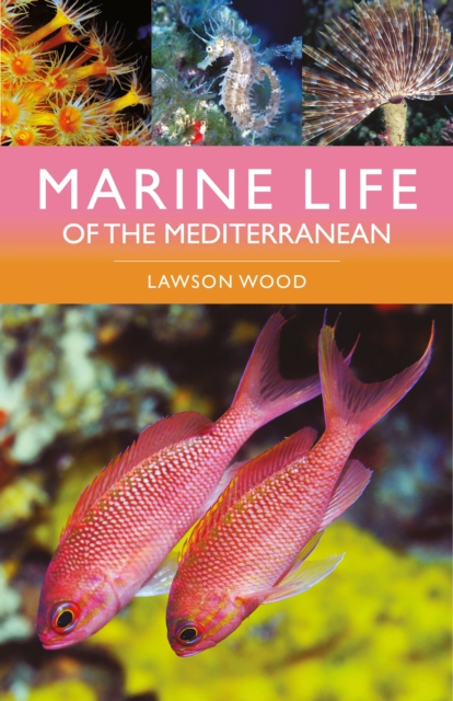Marine Life of the Mediterranean, EPUB eBook