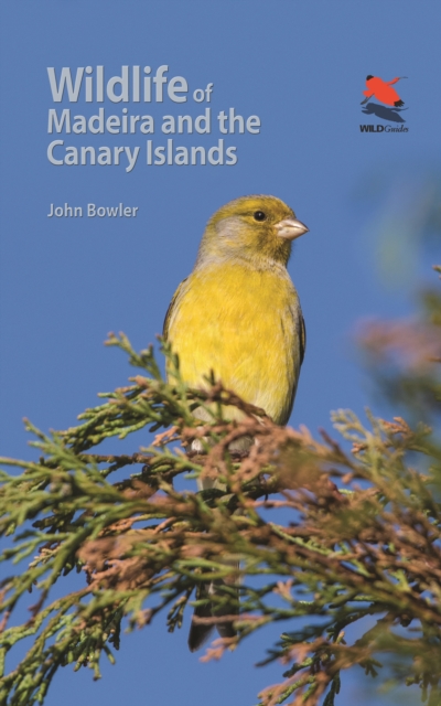 Wildlife of Madeira and the Canary Islands : A Photographic Field Guide to Birds, Mammals, Reptiles, Amphibians, Butterflies and Dragonflies, PDF eBook