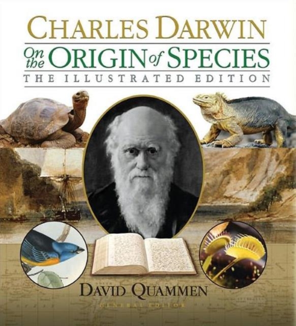 On the Origin of Species : The Illustrated Edition, Paperback / softback Book