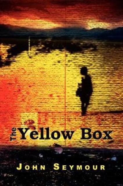 The Yellow Box, Paperback / softback Book