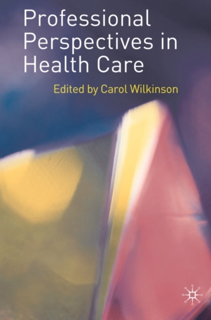 Professional Perspectives in Health Care, Paperback / softback Book