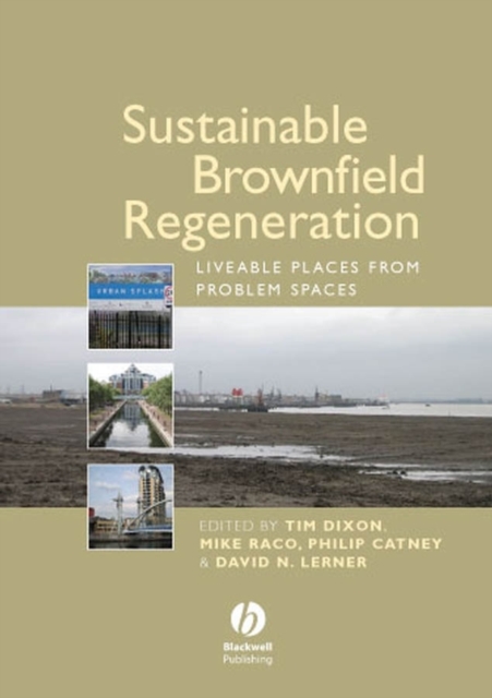 Sustainable Brownfield Regeneration : Liveable Places from Problem Spaces, Paperback / softback Book