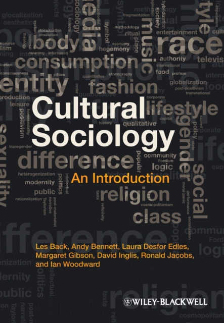 Cultural Sociology : An Introduction, Paperback / softback Book