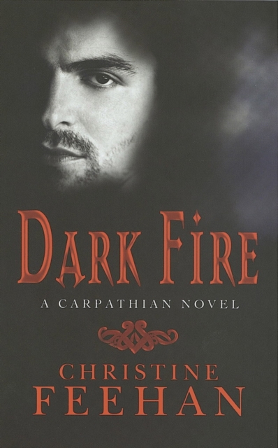 Dark Fire : Number 6 in series, EPUB eBook