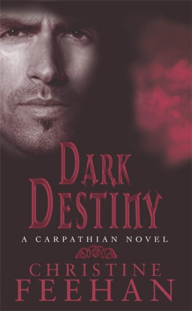 Dark Destiny : Number 13 in series, EPUB eBook