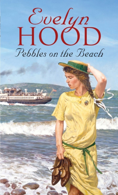 Pebbles On The Beach : from the Sunday Times bestseller, EPUB eBook