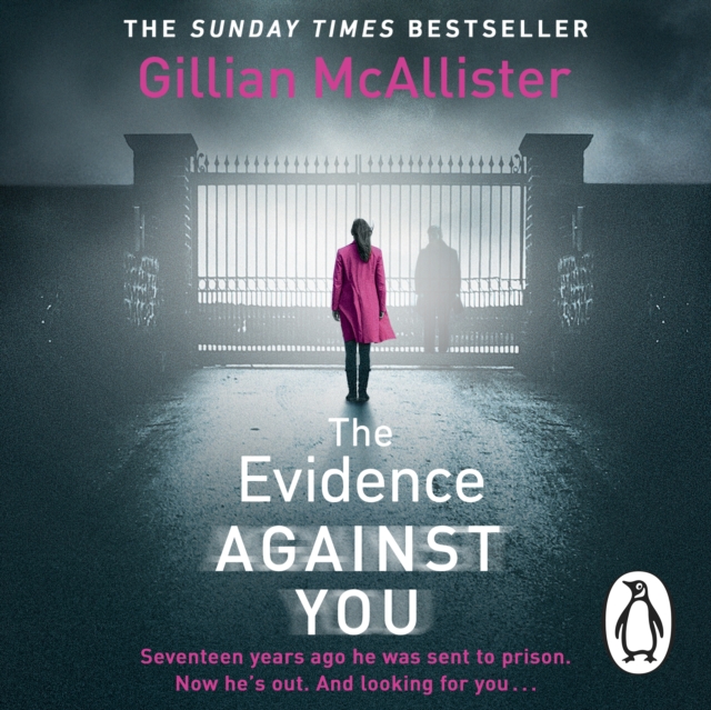The Evidence Against You : The gripping bestseller from the author of Richard & Judy pick That Night, eAudiobook MP3 eaudioBook