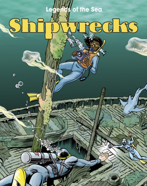 Shipwrecks, Hardback Book