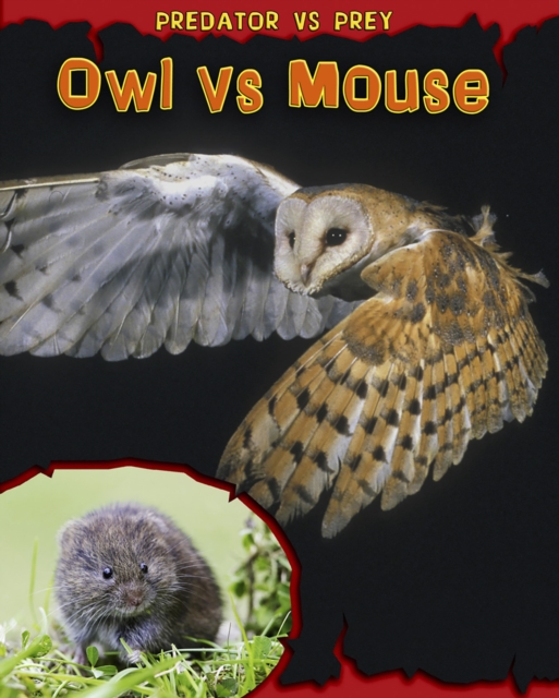 Owl vs Mouse, Paperback / softback Book