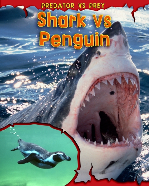 Shark Vs Penguin, Paperback Book