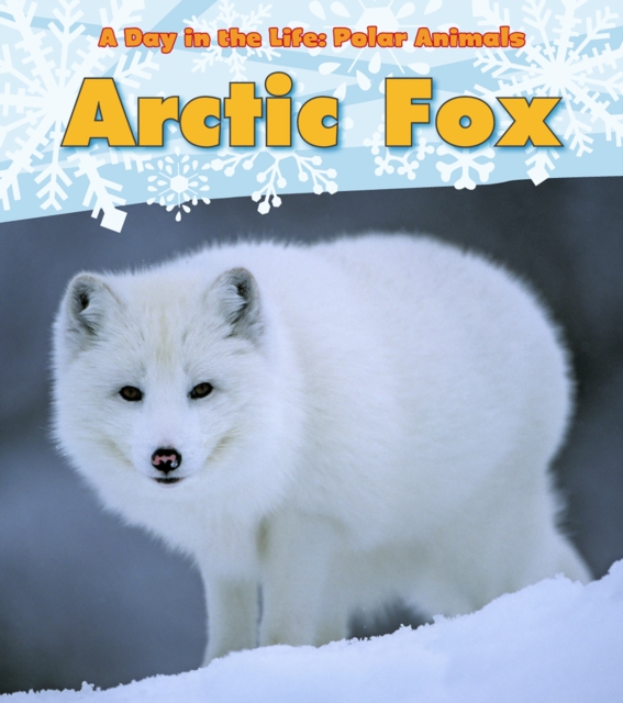 Arctic Fox, Hardback Book