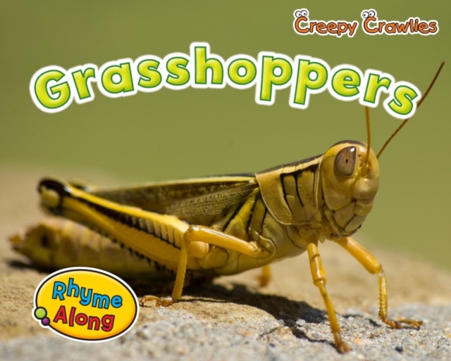 Grasshoppers, Paperback / softback Book