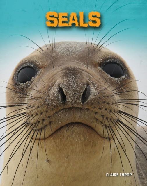 Seals, Hardback Book