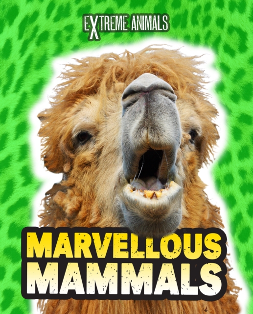 Marvellous Mammals, PDF eBook