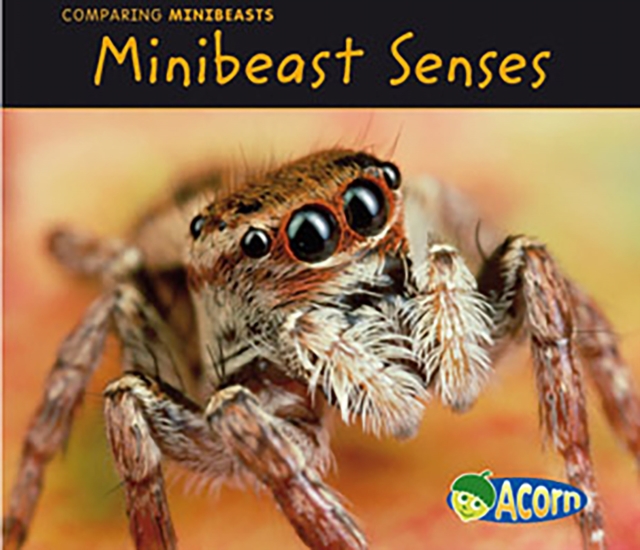 Minibeast Senses, PDF eBook
