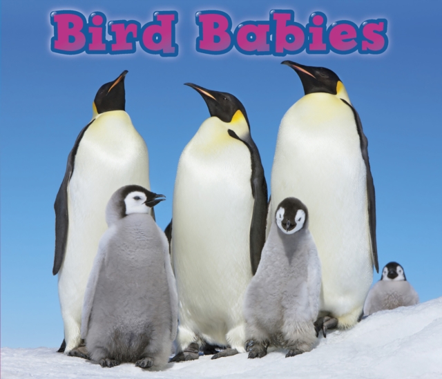 Bird Babies, Paperback / softback Book