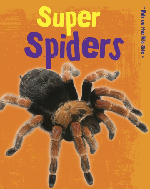 Super Spiders, Hardback Book