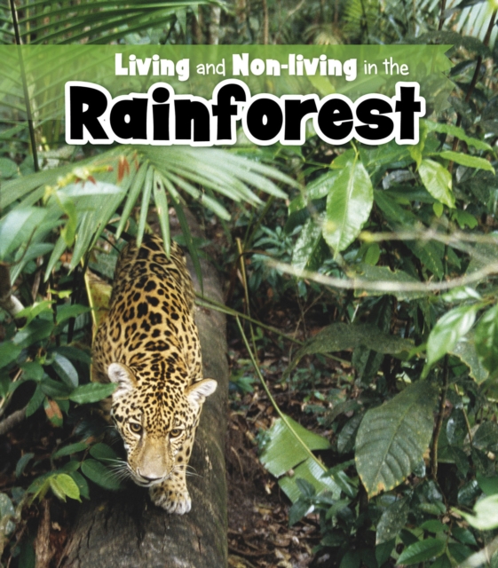Living and Non-living in the Rainforest, Paperback / softback Book